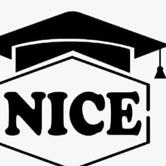 Nice It Services