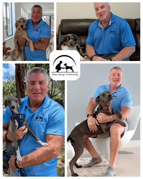 Top  Dog Trainer
